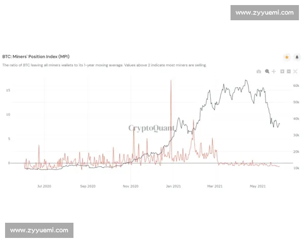 以上赛季球队表现数据解析与未来发展趋势全面展望战略思考价值评估